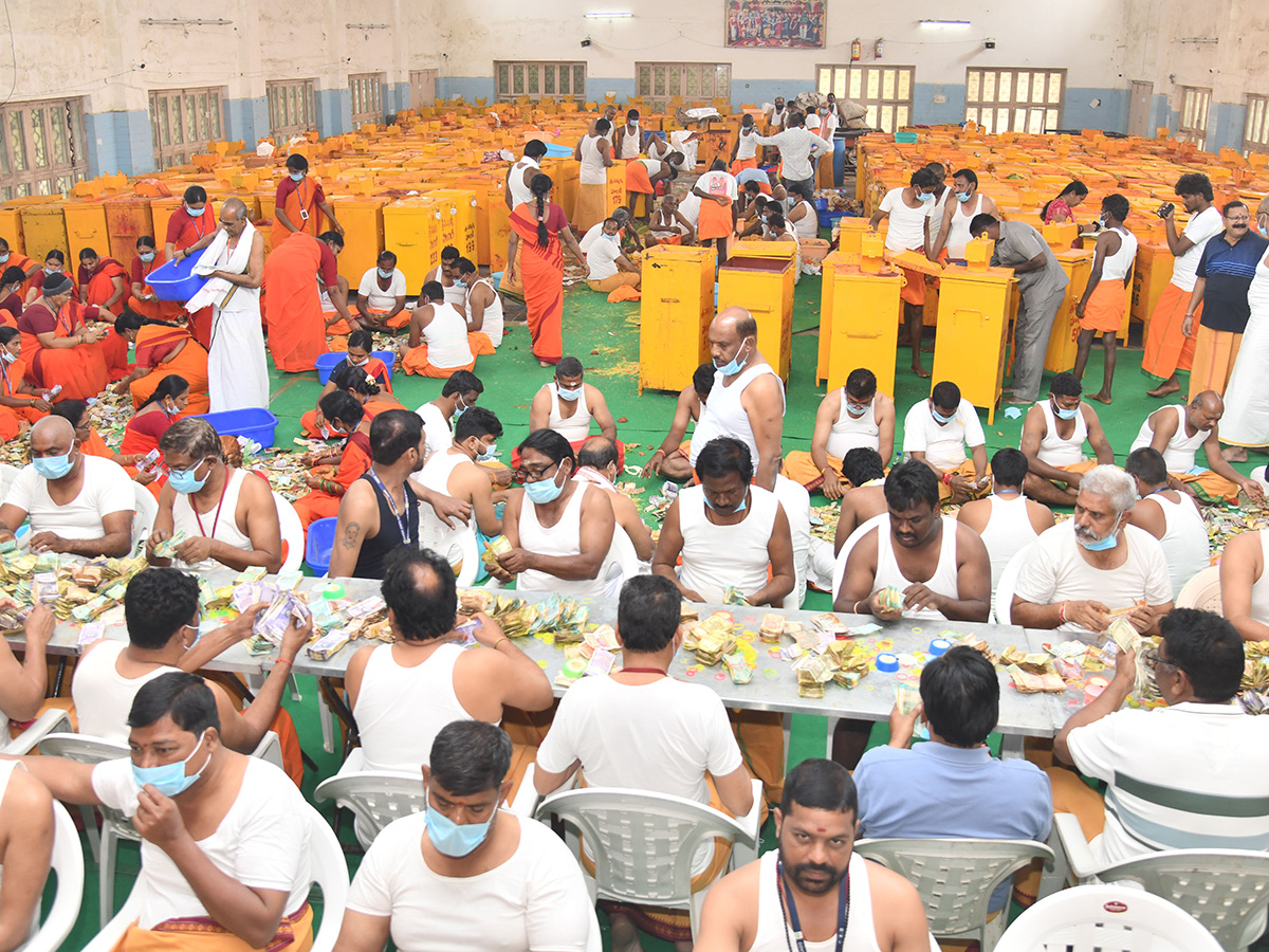 Medaram Sammakka Sarakka Hundi Counting Photos6