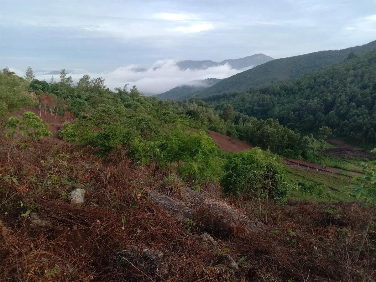 Tarabu Waterfalls Andhra Pradesh HD Photos12