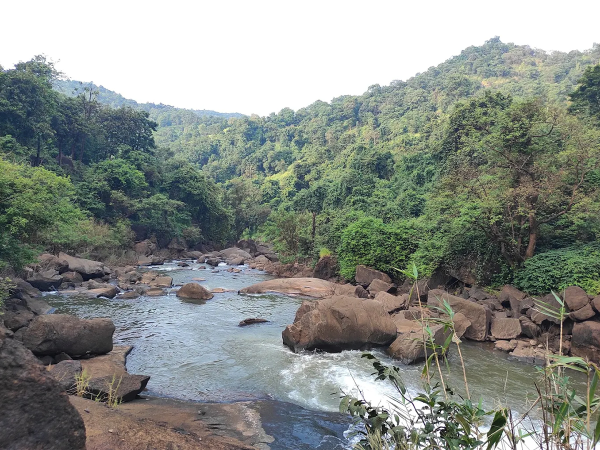 Tarabu Waterfalls Andhra Pradesh HD Photos7