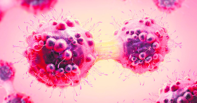 క్యాన్సర్‌ కలవరం 1