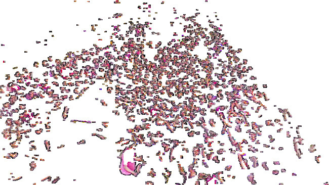 విజయవాడ సిటీ5