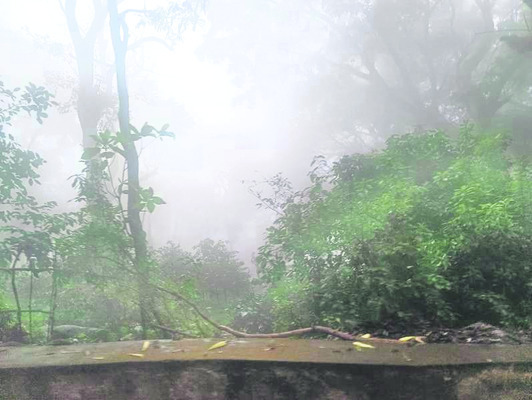 ప్రకృతి సెగ1