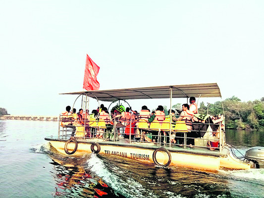 పెద్దమ్మతల్లికి  విశేష పూజలు3