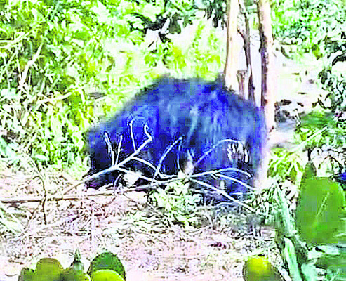 తప్పిదం... యాతన.. విముక్తి1