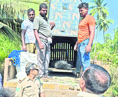తప్పిదం... యాతన.. విముక్తి2