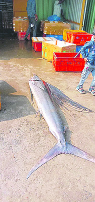 బాలాజీ స్వామికి రూ.2.92 లక్షల ఆదాయం  1