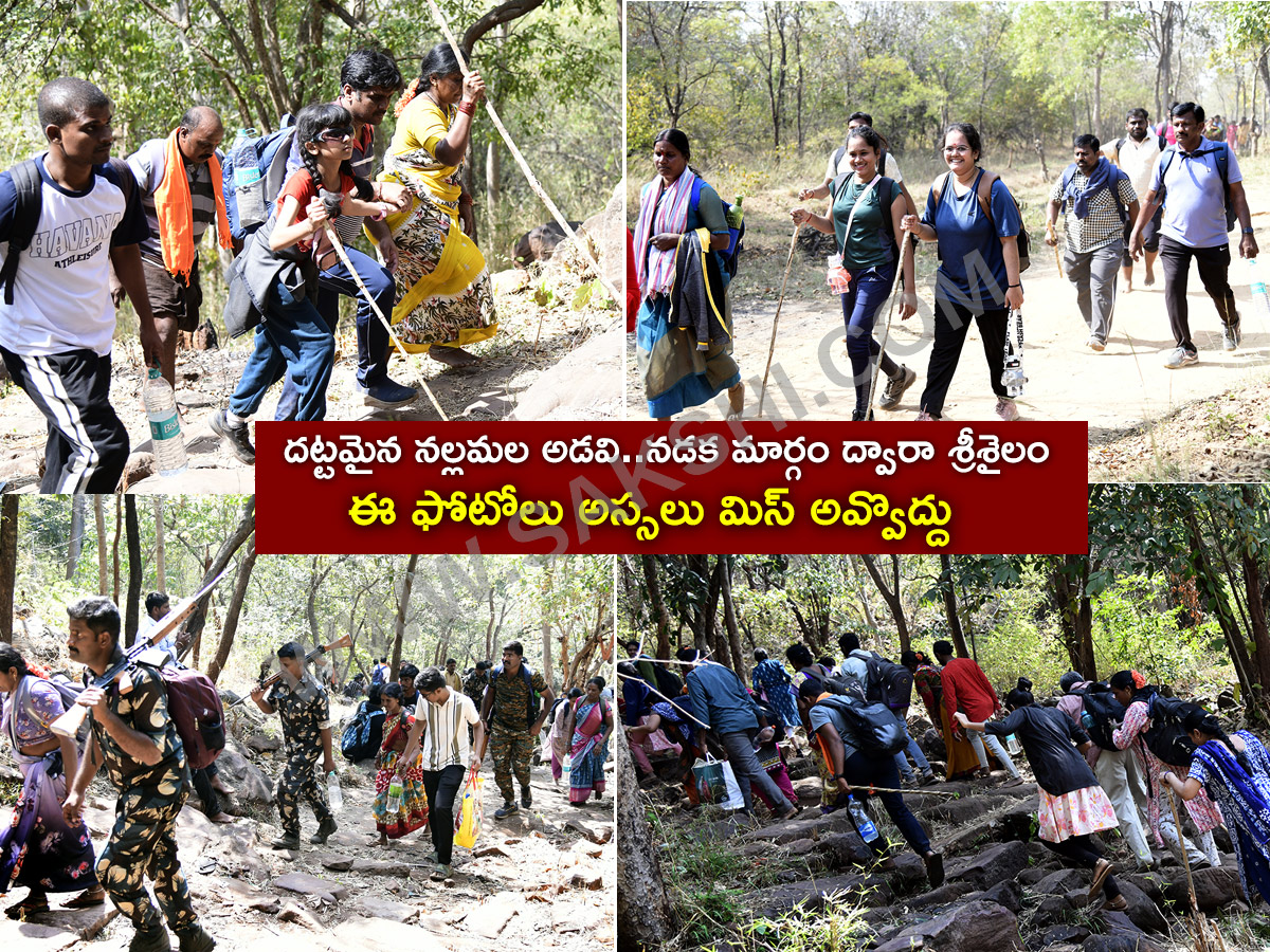 Devotees travel to the Srisailam temple by walk through forest area1