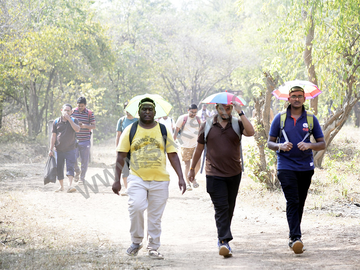 Devotees travel to the Srisailam temple by walk through forest area16