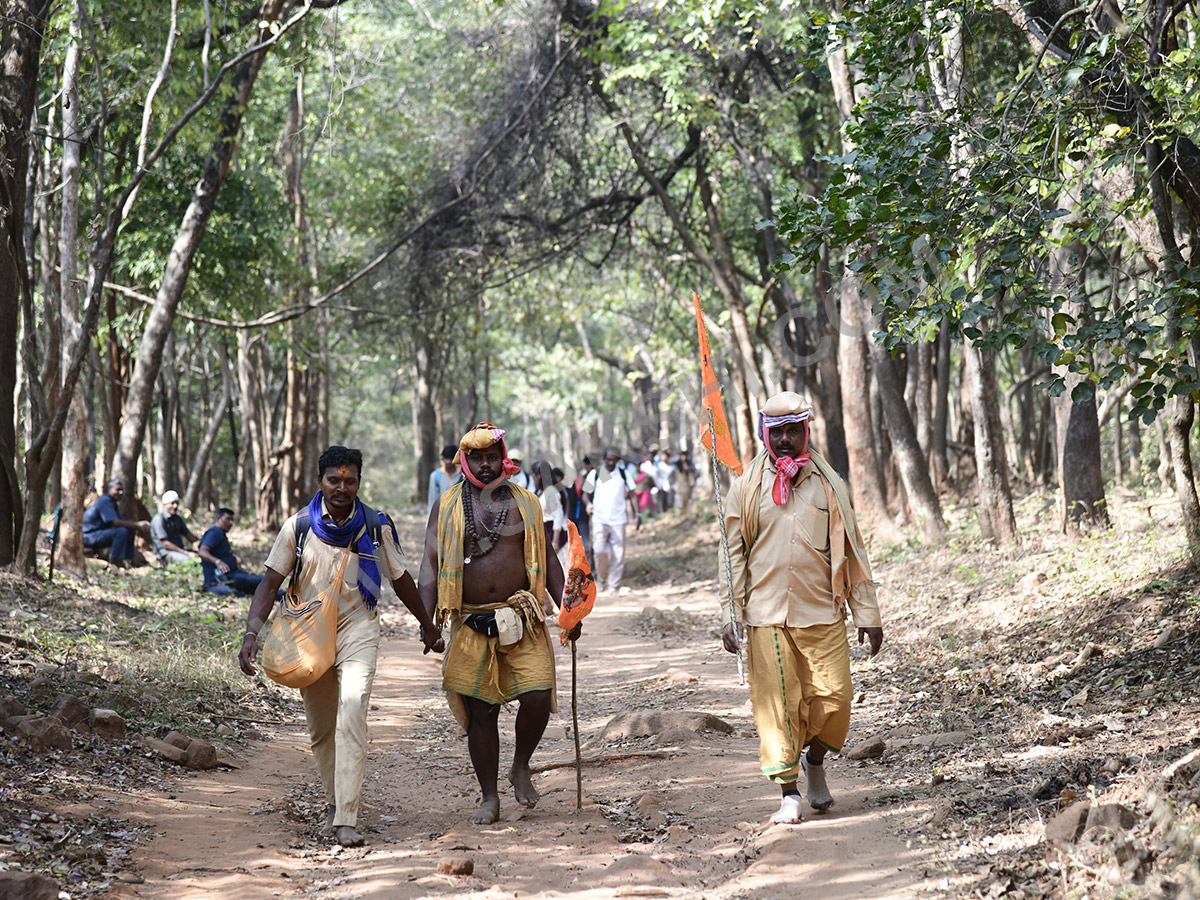 Devotees travel to the Srisailam temple by walk through forest area17