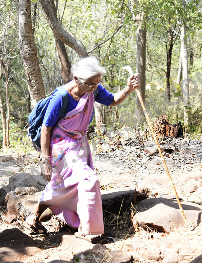Devotees travel to the Srisailam temple by walk through forest area18