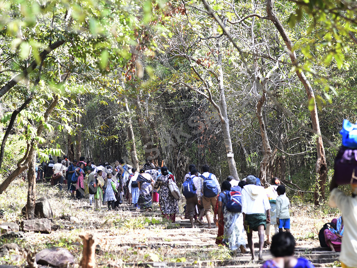 Devotees travel to the Srisailam temple by walk through forest area21