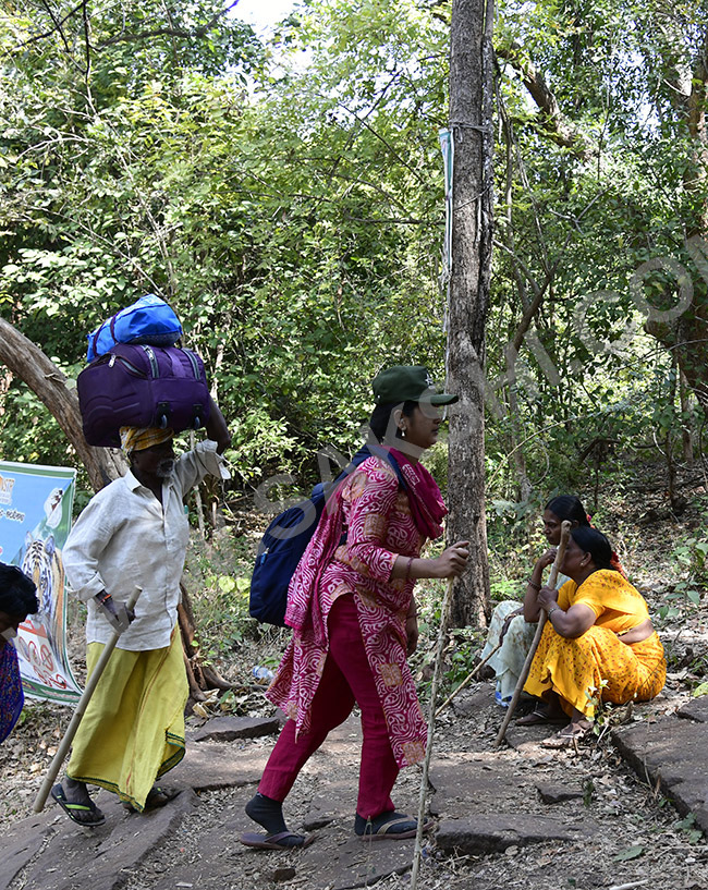 Devotees travel to the Srisailam temple by walk through forest area22