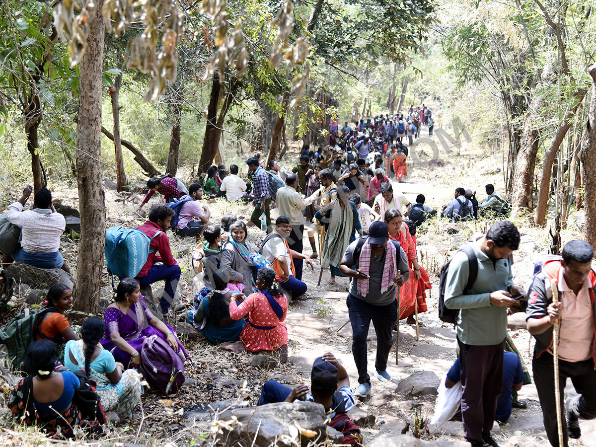 Devotees travel to the Srisailam temple by walk through forest area26