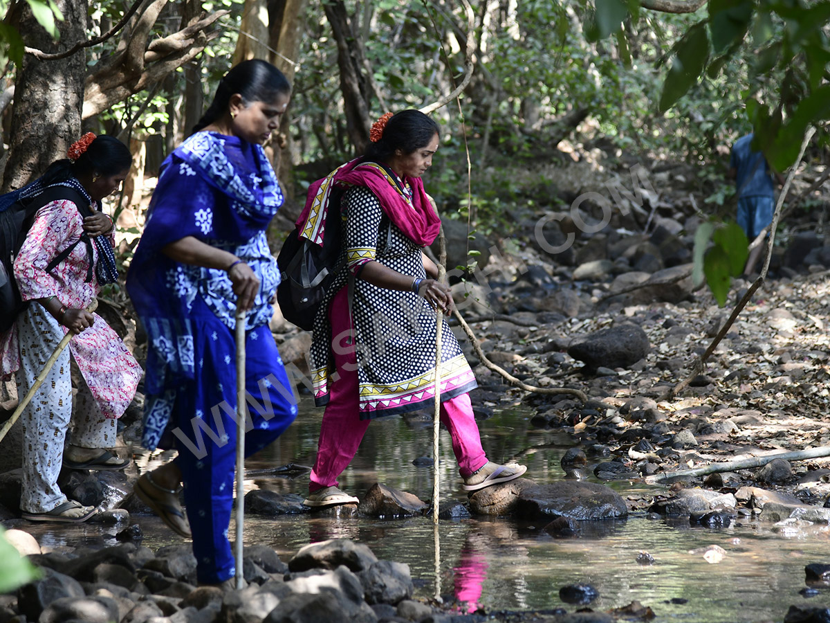 Devotees travel to the Srisailam temple by walk through forest area29