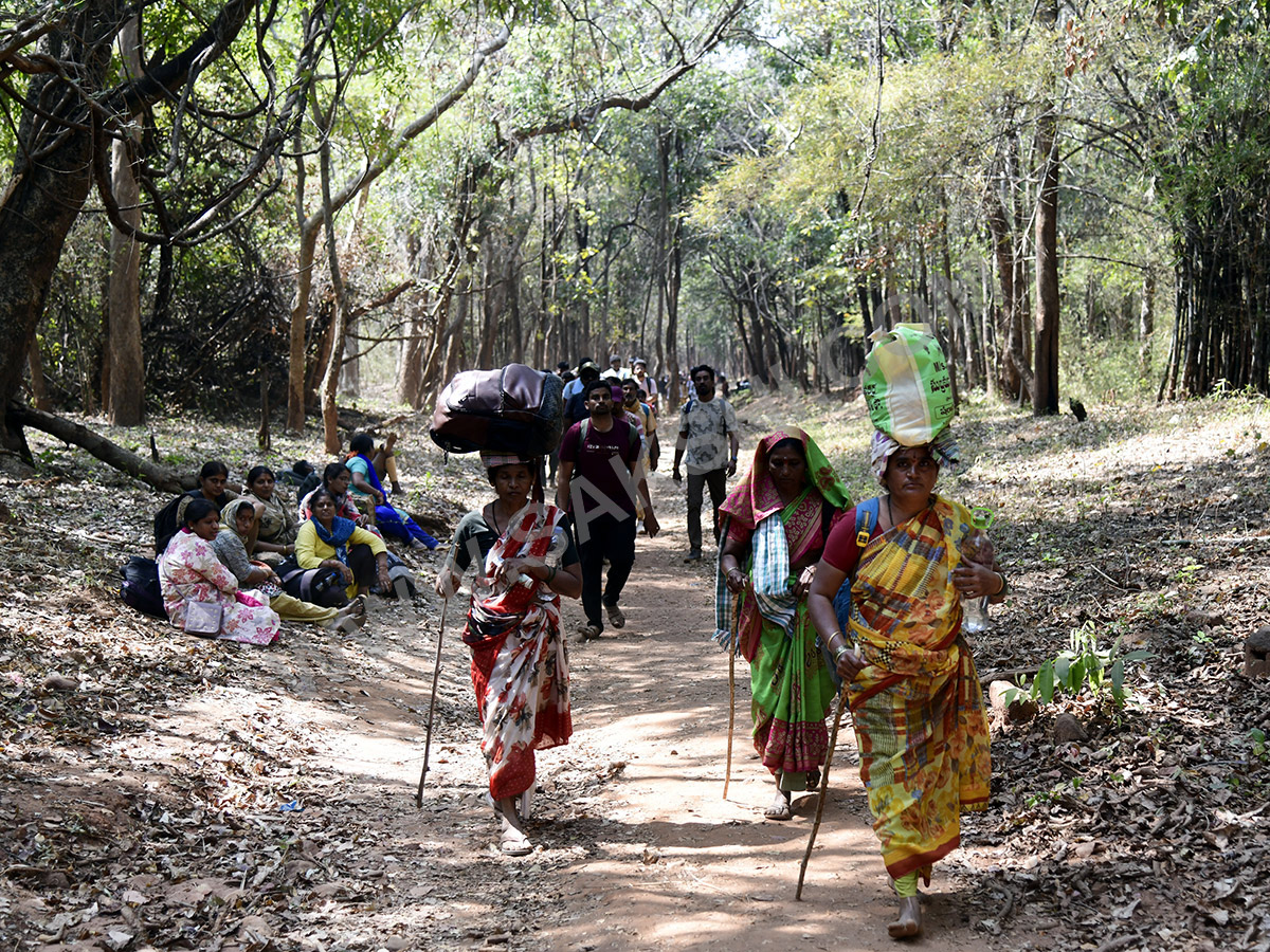 Devotees travel to the Srisailam temple by walk through forest area3