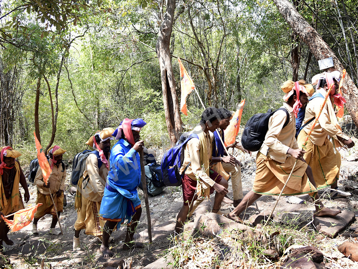 Devotees travel to the Srisailam temple by walk through forest area33