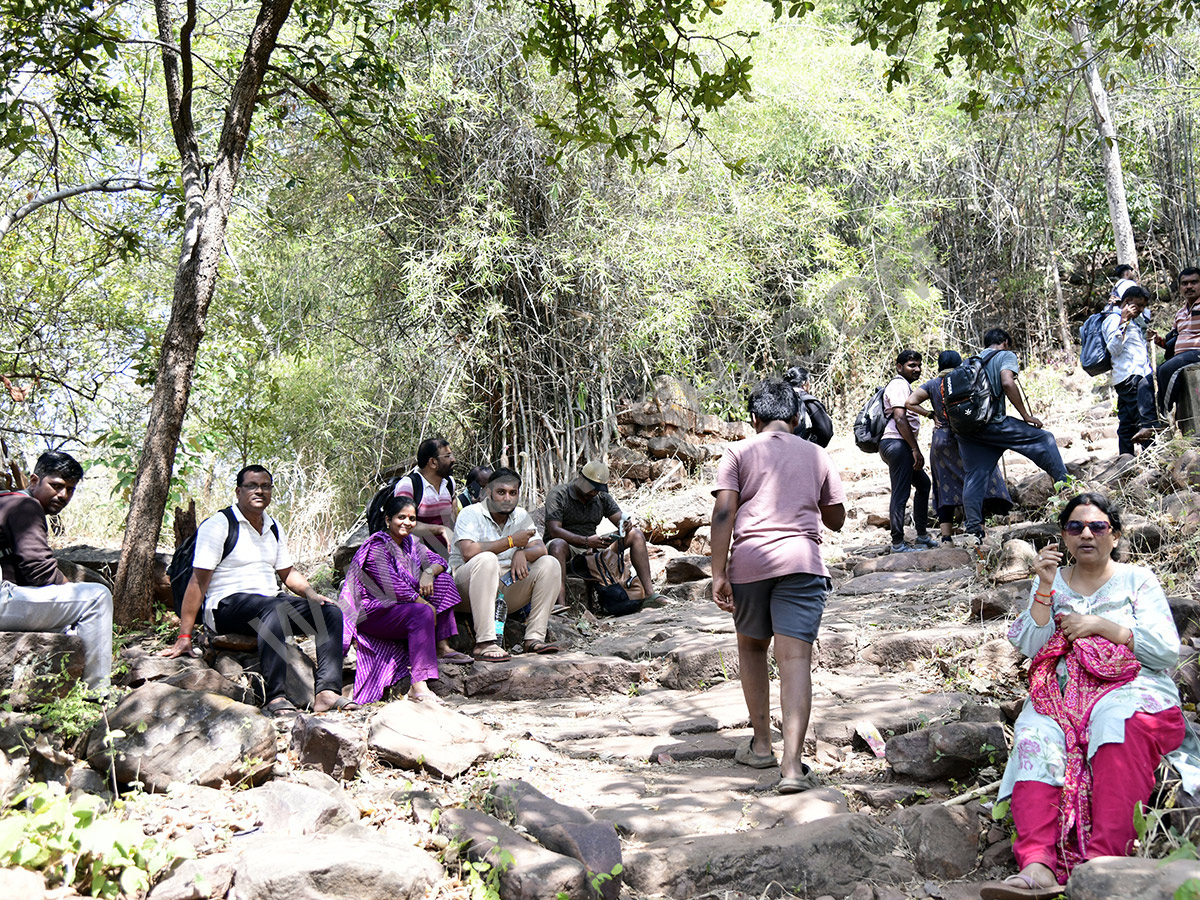 Devotees travel to the Srisailam temple by walk through forest area34