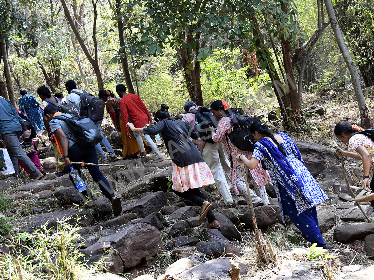 Devotees travel to the Srisailam temple by walk through forest area35