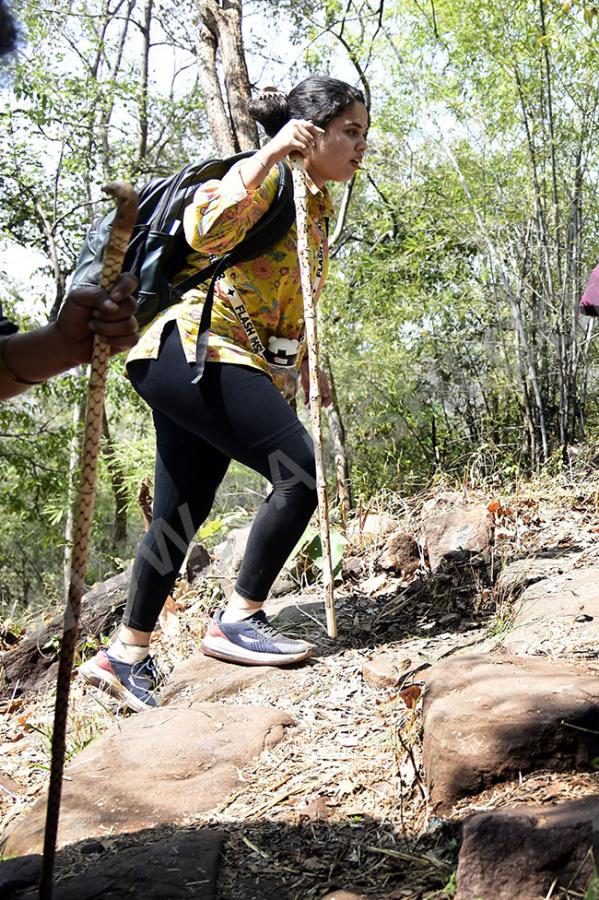 Devotees travel to the Srisailam temple by walk through forest area37