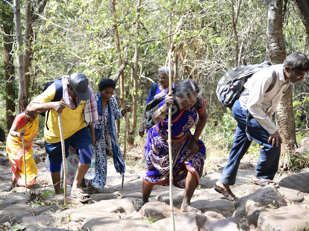 Devotees travel to the Srisailam temple by walk through forest area42