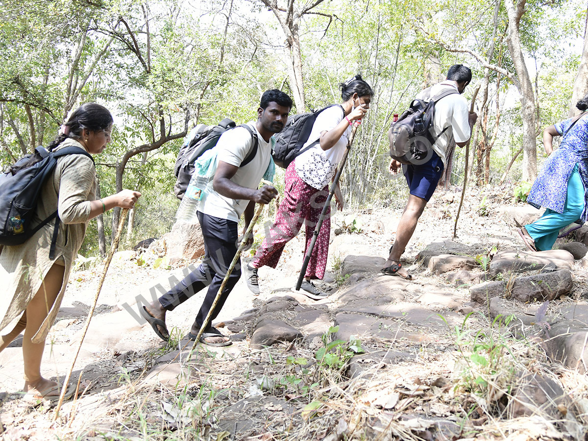 Devotees travel to the Srisailam temple by walk through forest area44