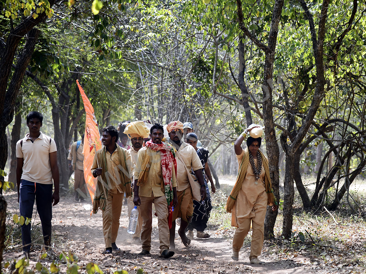 Devotees travel to the Srisailam temple by walk through forest area5