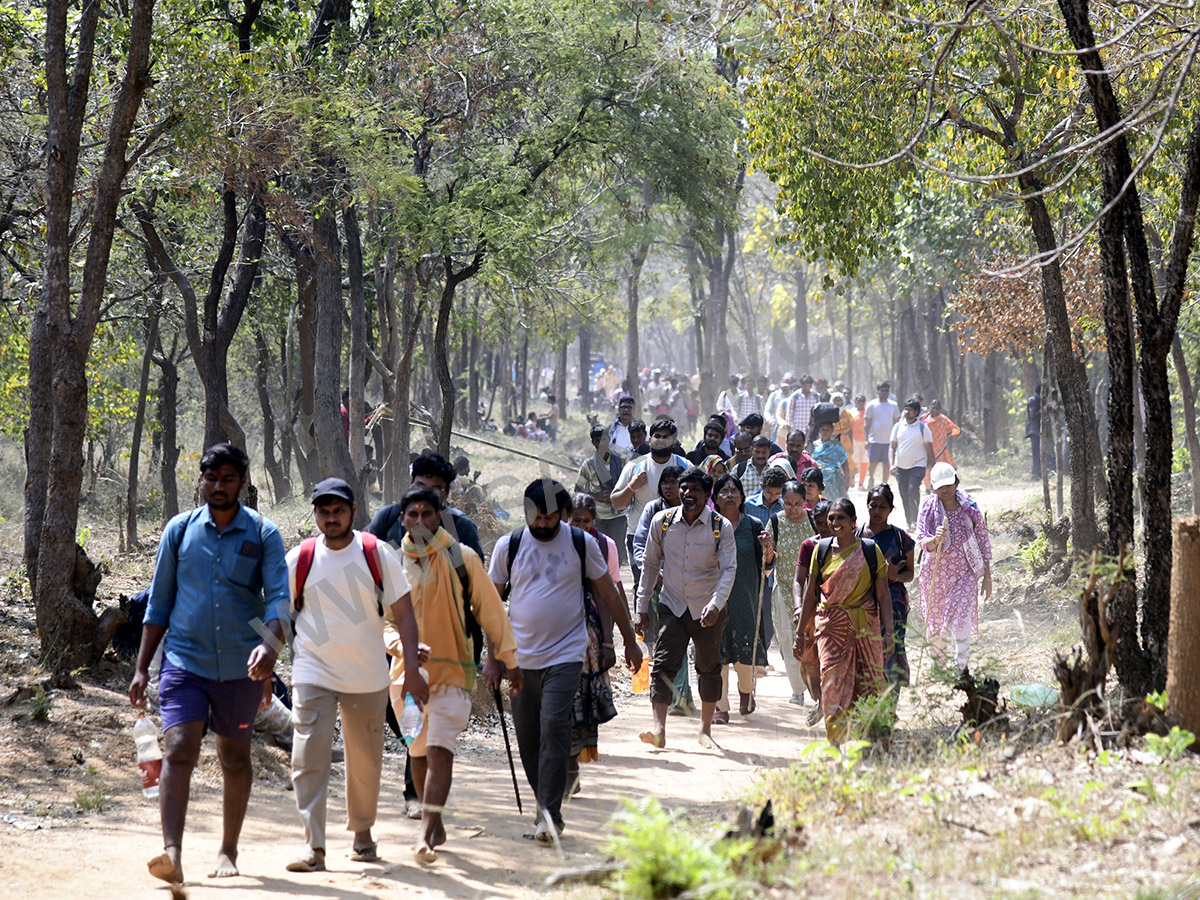 Devotees travel to the Srisailam temple by walk through forest area7