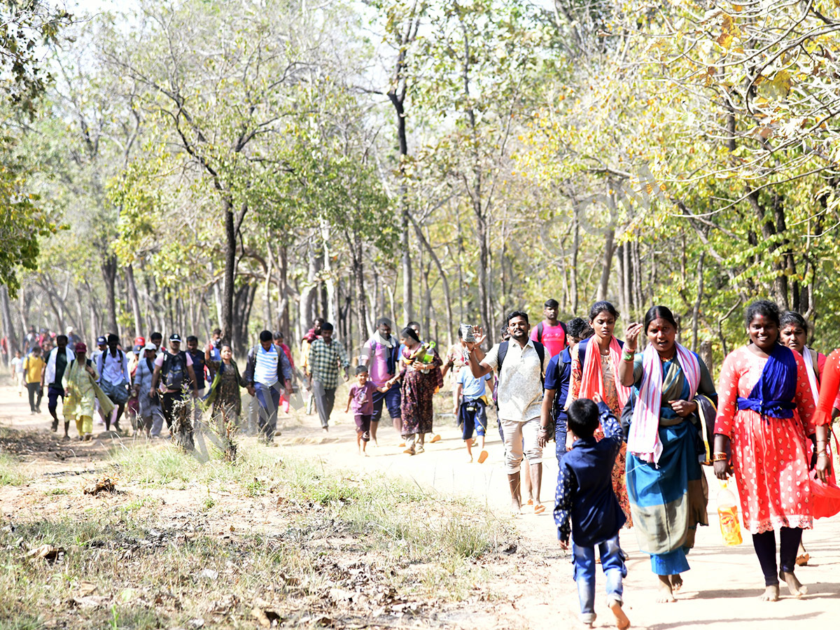 Devotees travel to the Srisailam temple by walk through forest area8