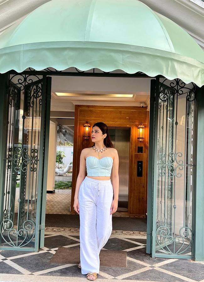 Tollywood Actress Shraddha Das HD Photos11