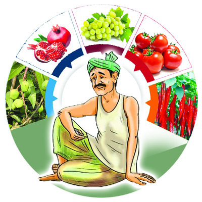 ఉద్యాన హామీలు ఉత్తుత్తివే! 1