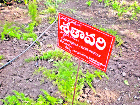  ప్రత్యేక ప్రాజెక్టుమంజూరుకు కృషి2