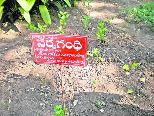  ప్రత్యేక ప్రాజెక్టుమంజూరుకు కృషి4