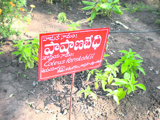  ప్రత్యేక ప్రాజెక్టుమంజూరుకు కృషి3