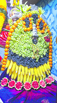  ట్యూనా.. చూడముచ్చటేనా!  
2