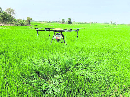 ఐదు నిమిషాల్లో ఎకరం.. 1