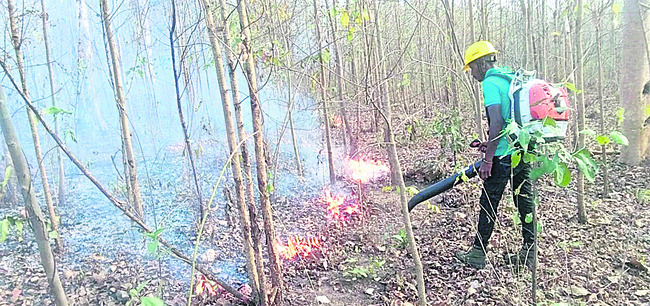 ఫైర్‌లైన్లకు పైసల్లేవ్‌!1