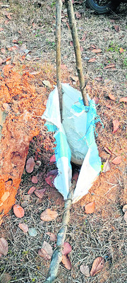 దిక్కూమొక ్క లేక..! 
1