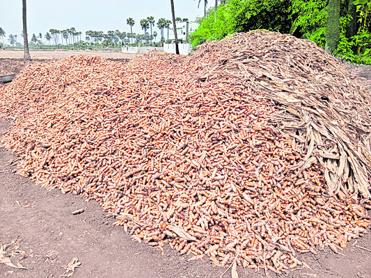 విజయవాడ సిటీ6