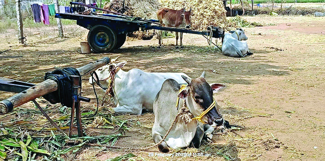 అన్ని రంగాల్లో  ప్రభుత్వాలు విఫలం  3