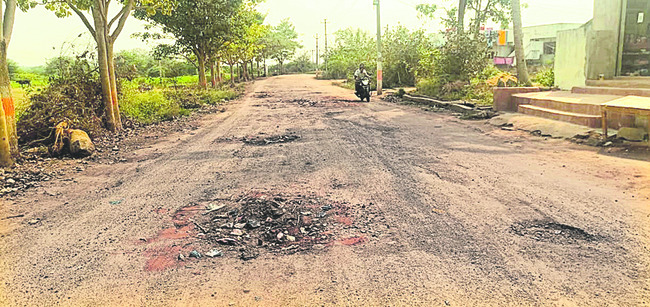 యువత రాజకీయాల్లోకి అడుగుపెట్టింది. ఉన్నత చదువులు చదివిన5