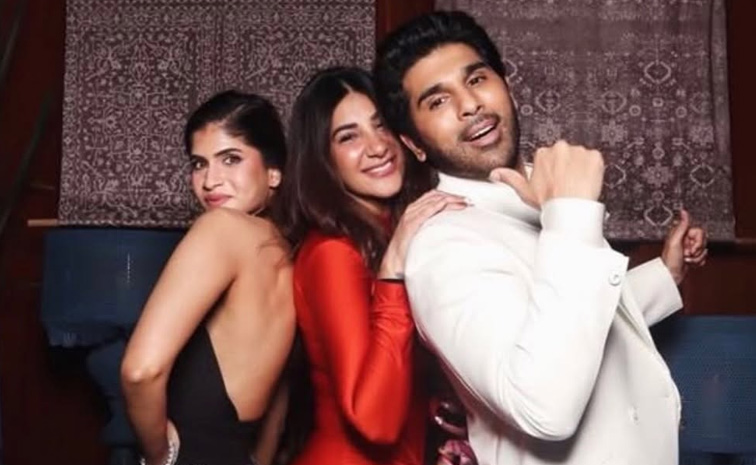 Allu Arjun-Sneha At Sirish pre-wedding party Photos5