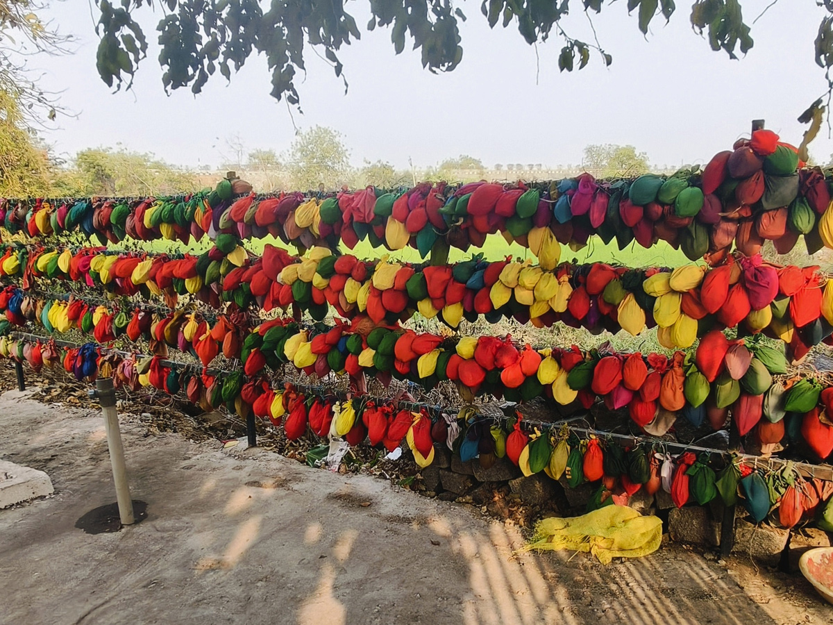 Best Photos of The Week in AP and Telangana Photo Gallery10