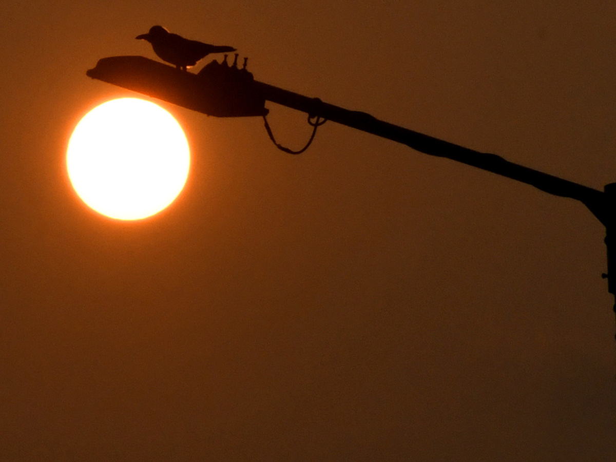 Best Photos of The Week in AP and Telangana Photo Gallery20