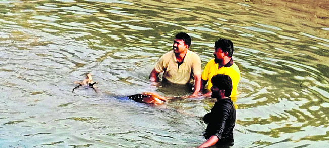 నిరాశ్రయులను ఆదుకుంటాం  1