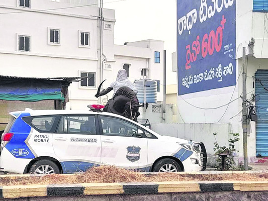 నిరంతరం నిఘా.. 1