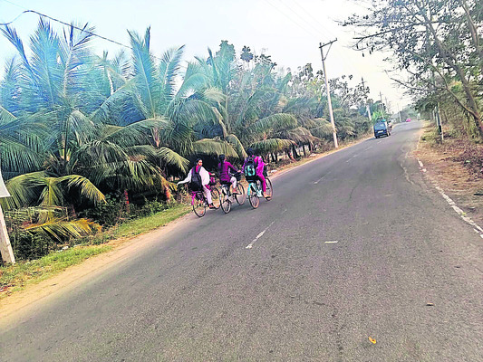 అరాచకాలకు వంతెన2