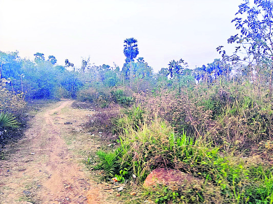 అరాచకాలకు వంతెన2