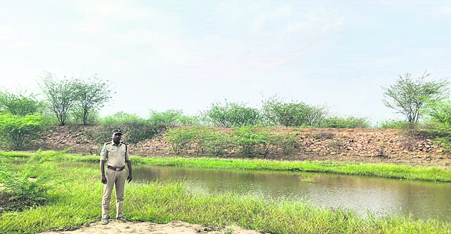 దప్పిక తీర్చిన సోలార్‌ బోర్లు1