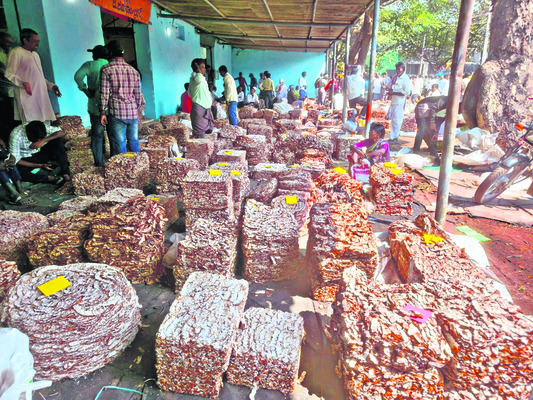 నేటి నుంచి  ఓపెన్‌ ఇంటర్‌ పరీక్షలు2