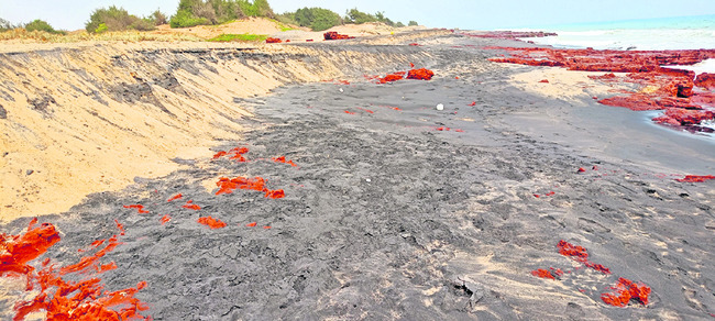 ఇసుక తోడేళ్లు1